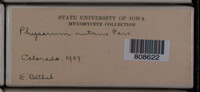 Image Associated With the Occurence